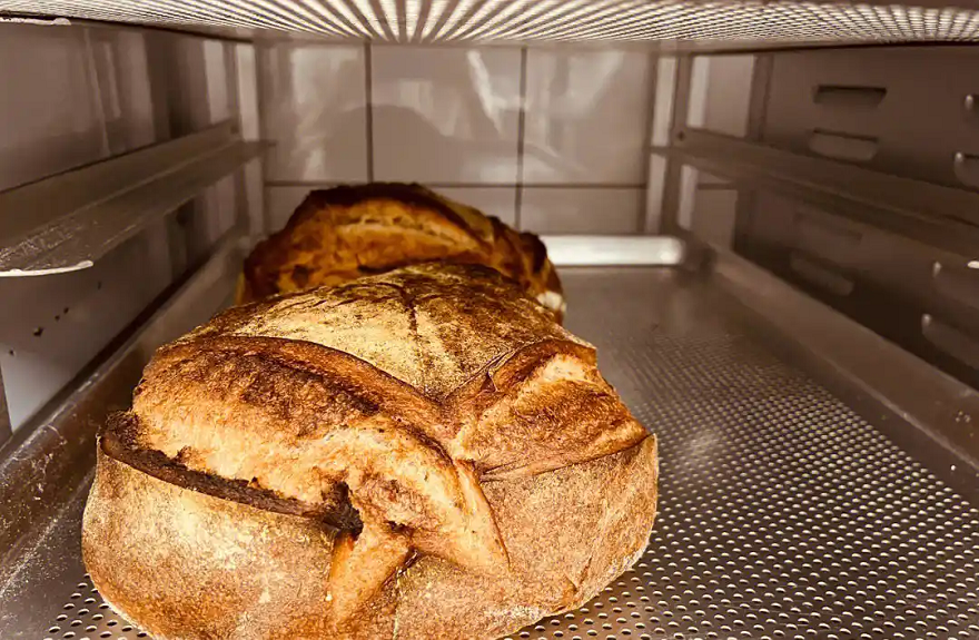 pizza bakery oven