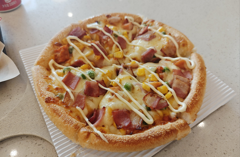 pizza oven 